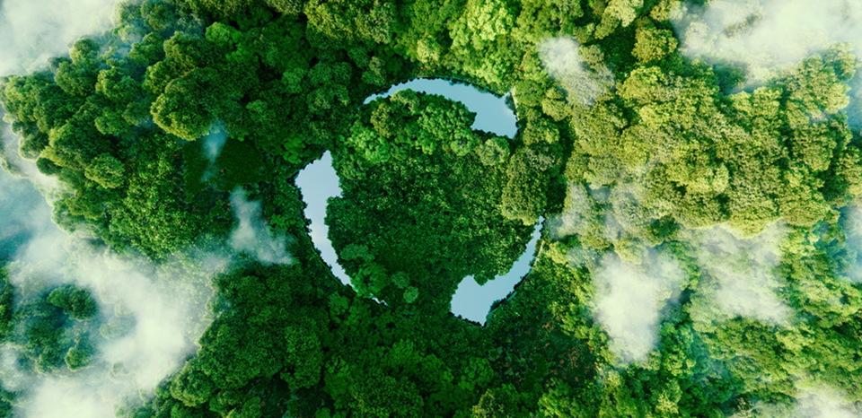 Environment