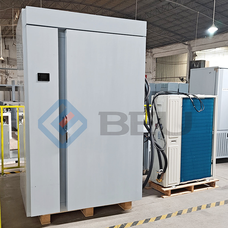 BCF20-RR