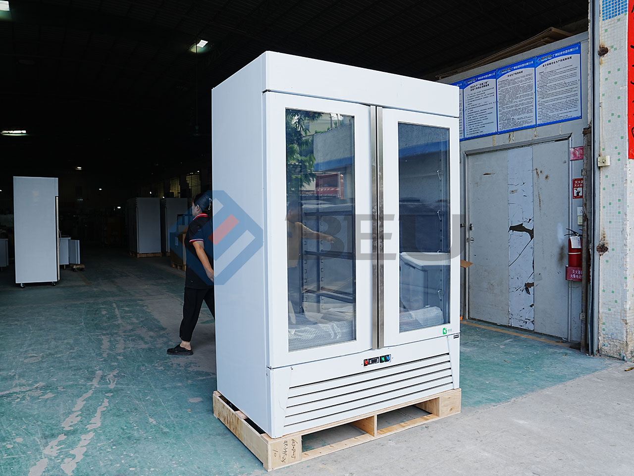 54" Double Glass Door Bottom Mount  Reach‑In Freezer