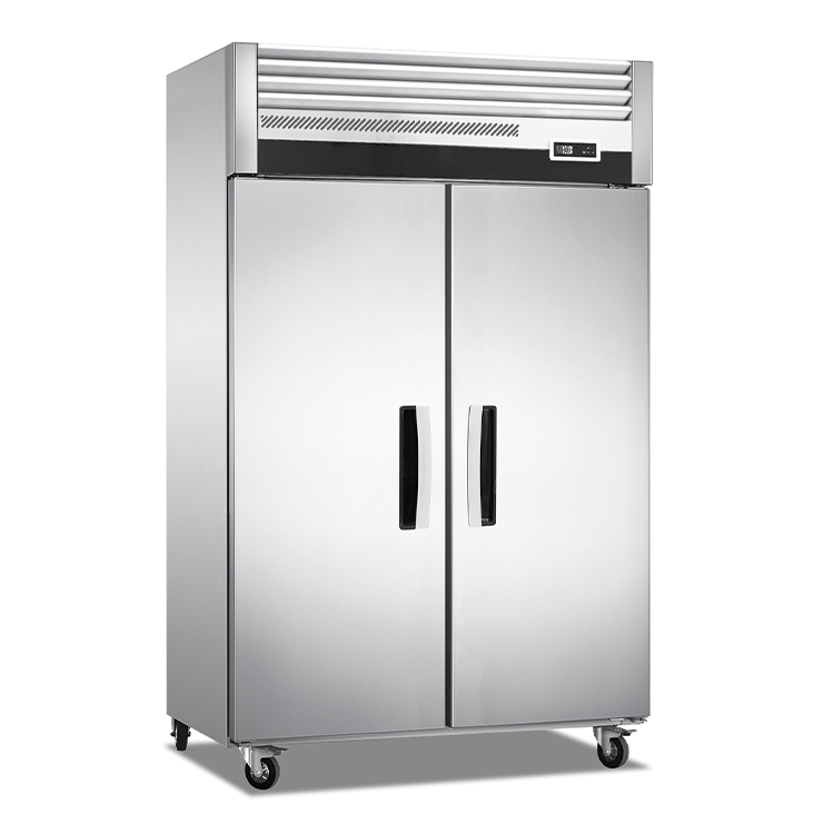 Double Door Luxury Reach In Freezer